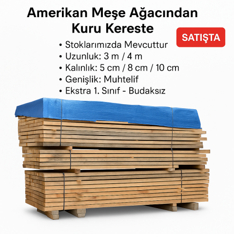 AMERİKAN MEŞE AĞACI KERESTE